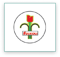 Fulkoli